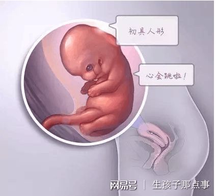 苏雨桐 副主任医师